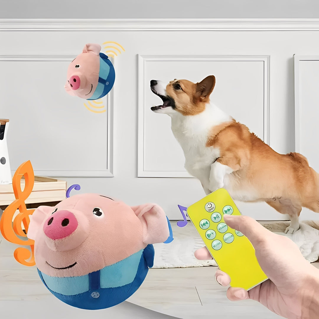 Dog Toy with Music Activation and Motion Sensor