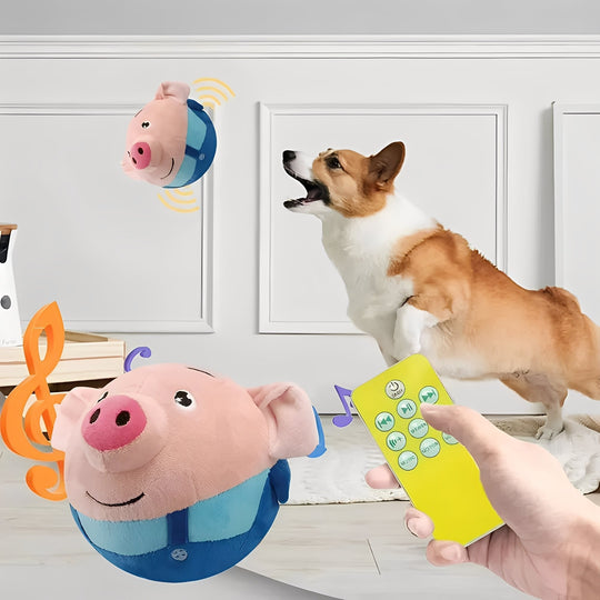 Dog Toy with Music Activation and Motion Sensor