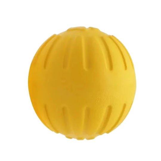 Dog Toy with Grooved Surface and Bouncy Design