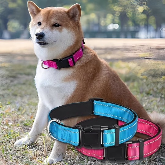 Dog Collar with Adjustable Fit and Clip Buckle