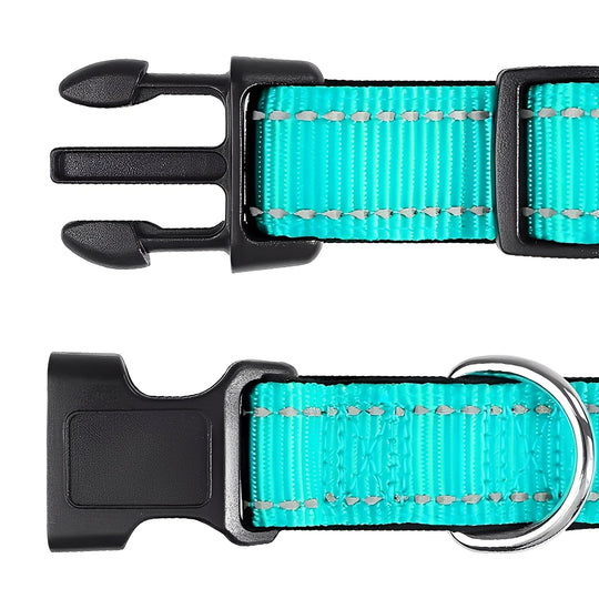 Dog Collar with Adjustable Fit and Clip Buckle