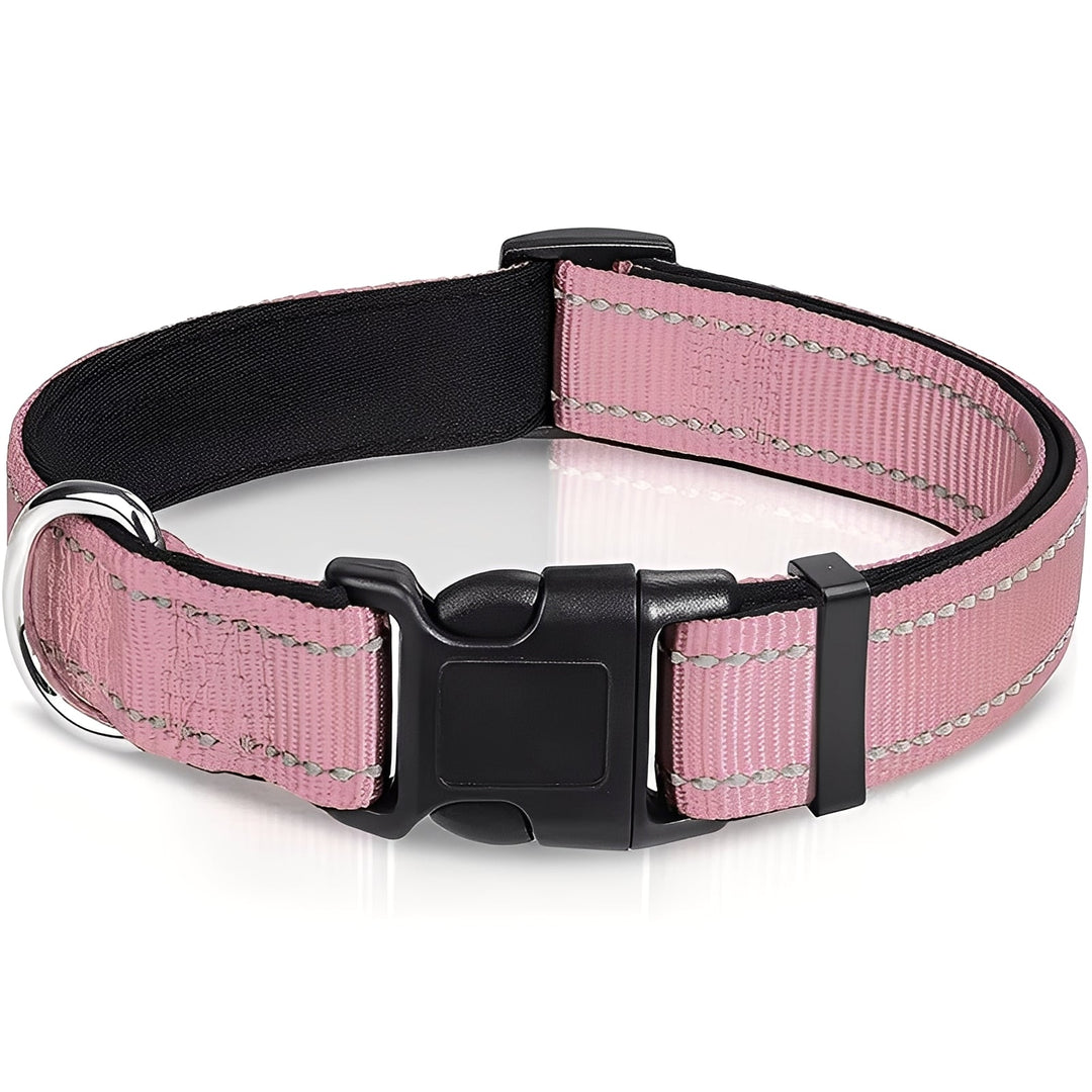Dog Collar with Adjustable Fit and Clip Buckle