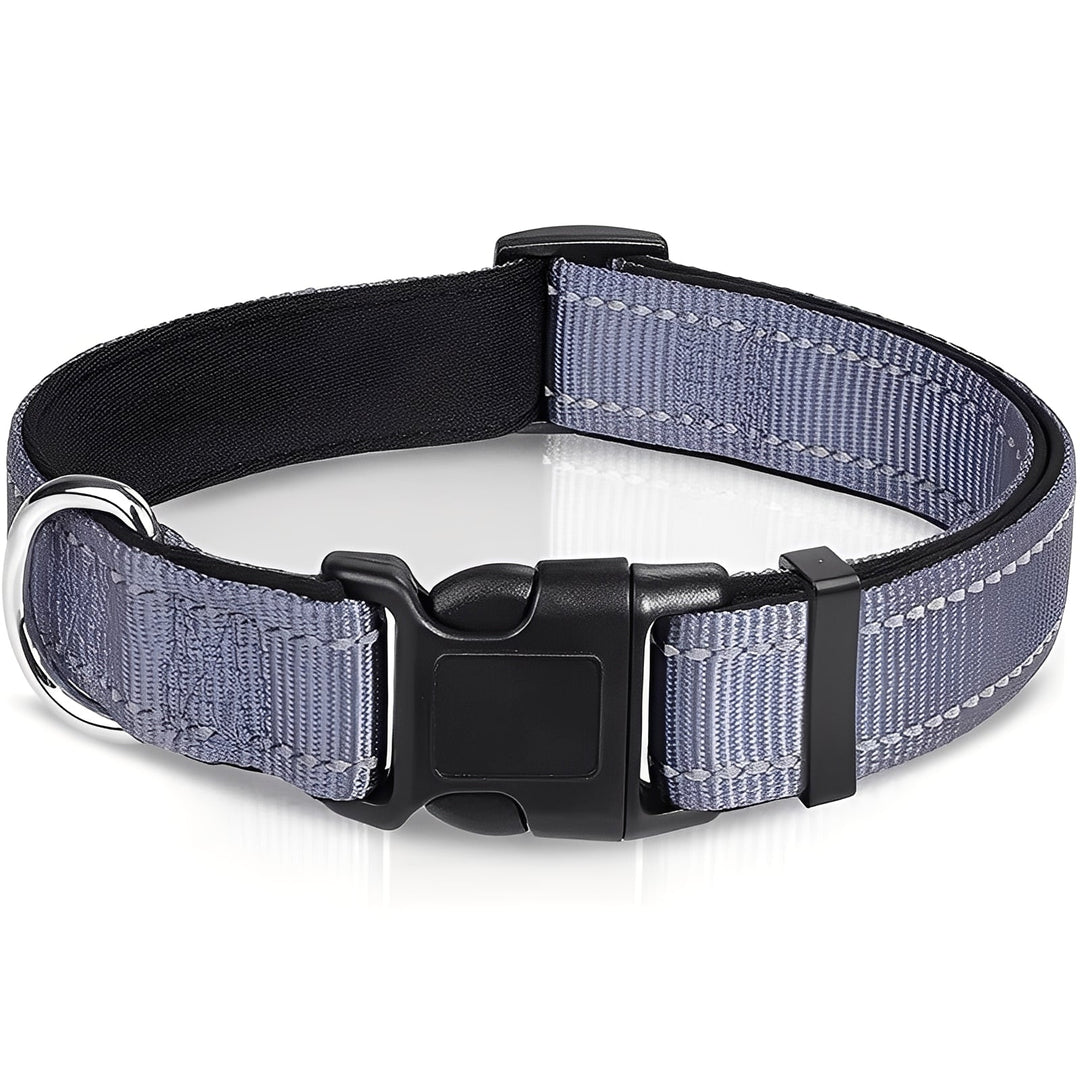 Dog Collar with Adjustable Fit and Clip Buckle