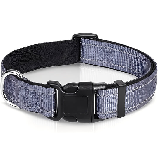 Dog Collar with Adjustable Fit and Clip Buckle