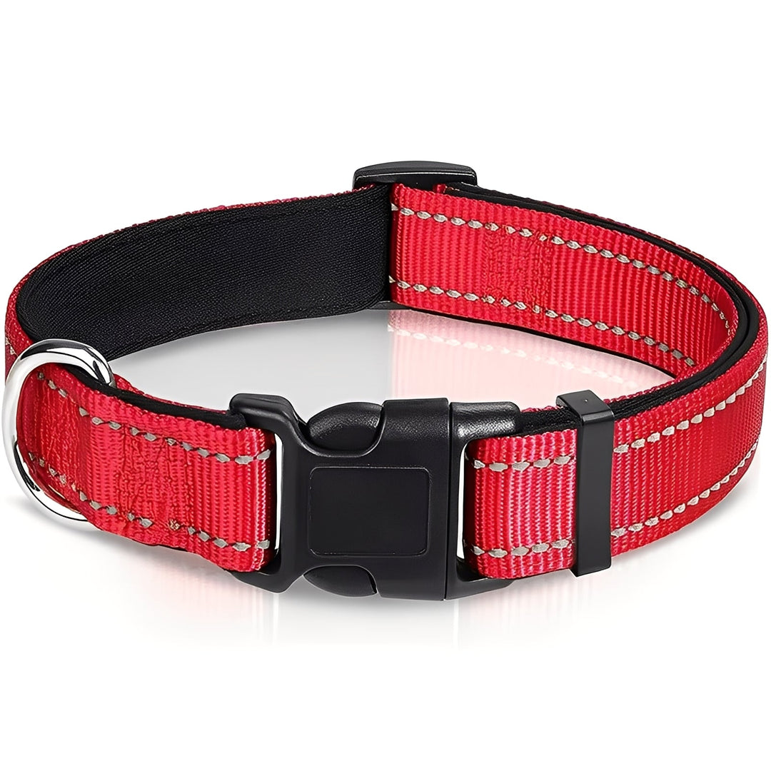 Dog Collar with Adjustable Fit and Clip Buckle