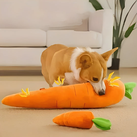 Dog Toy with Sound and Carrot Shape