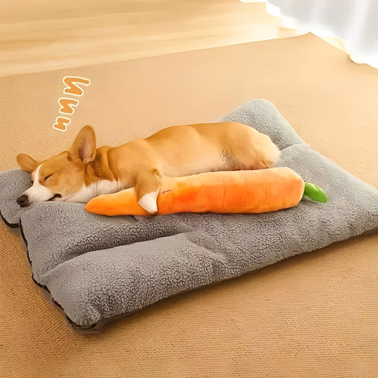 Dog Toy with Sound and Carrot Shape