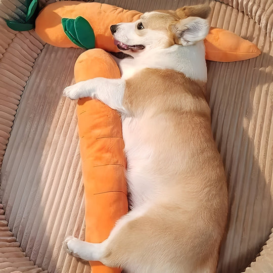 Dog Toy with Sound and Carrot Shape
