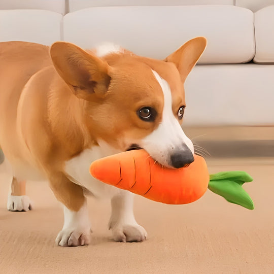 Dog Toy with Sound and Carrot Shape