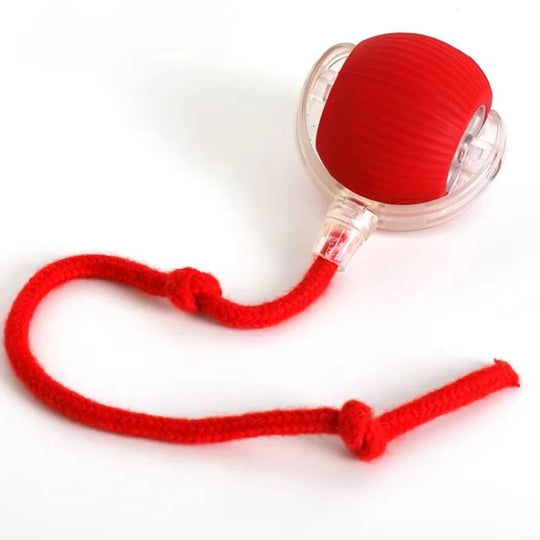 Cat Toy with Motorized Movement and Fiber Tail