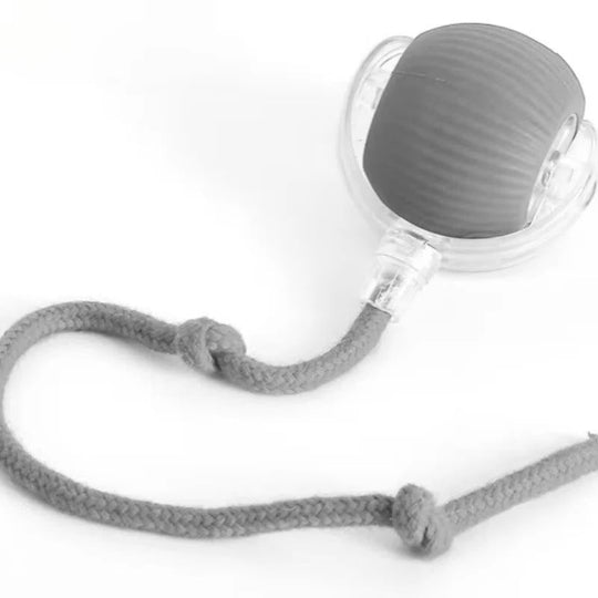 Cat Toy with Motorized Movement and Fiber Tail