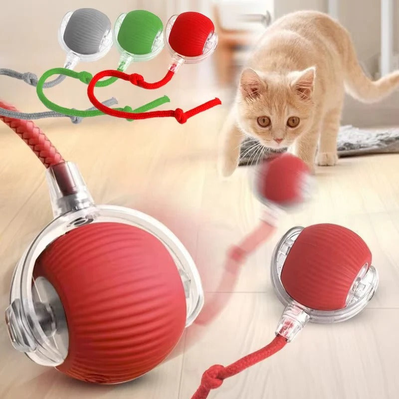 Cat Toy with Motorized Movement and Fiber Tail