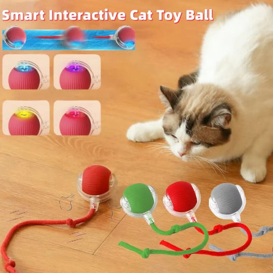 Cat Toy with Motorized Movement and Fiber Tail