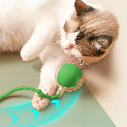 Cat Toy with Motorized Movement and Fiber Tail