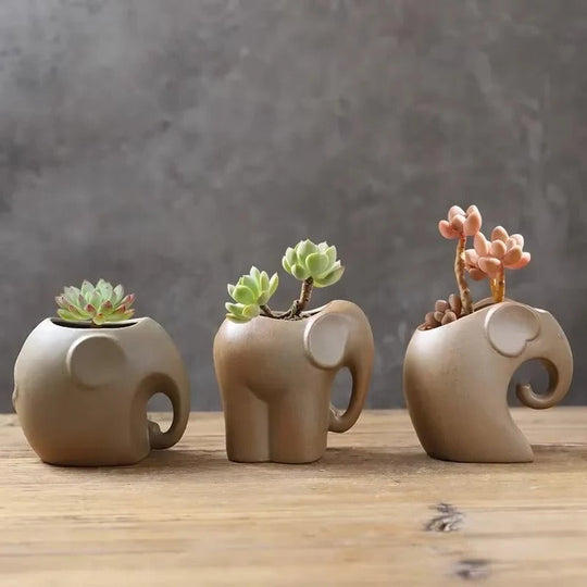 Ceramic Planter with Animal Shape and Succulent Design