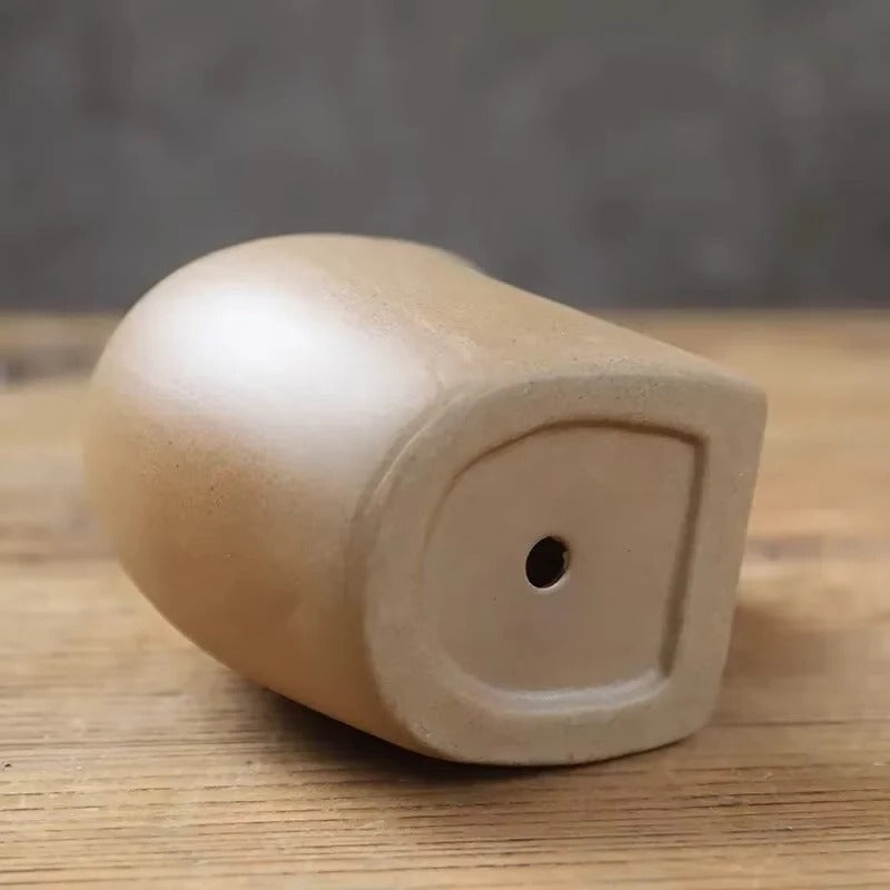 Ceramic Planter with Animal Shape and Succulent Design