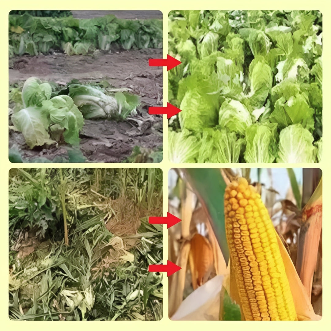 Animal Repellent with Solar Power and Warning Light