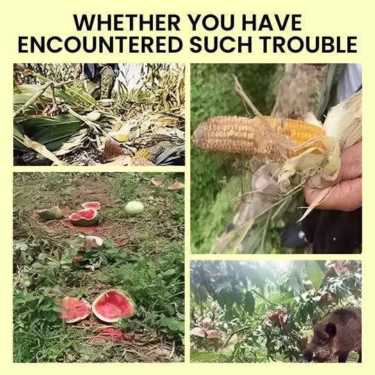 Animal Repellent with Solar Power and Warning Light