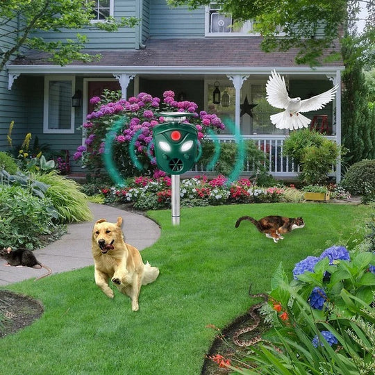 Animal Repeller with Solar Power and 360-Degree Coverage