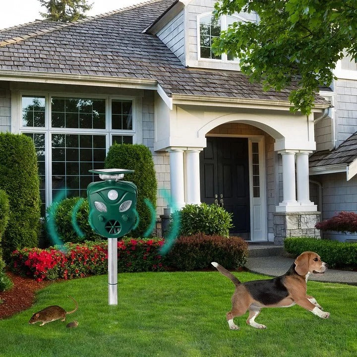 Animal Repeller with Solar Power and 360-Degree Coverage