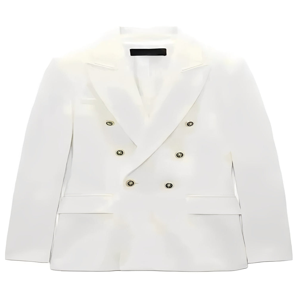 Blazer with Long Sleeves and V Neck Design