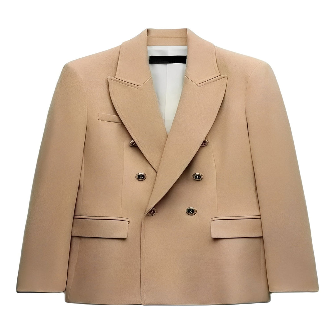 Blazer with Long Sleeves and V Neck Design