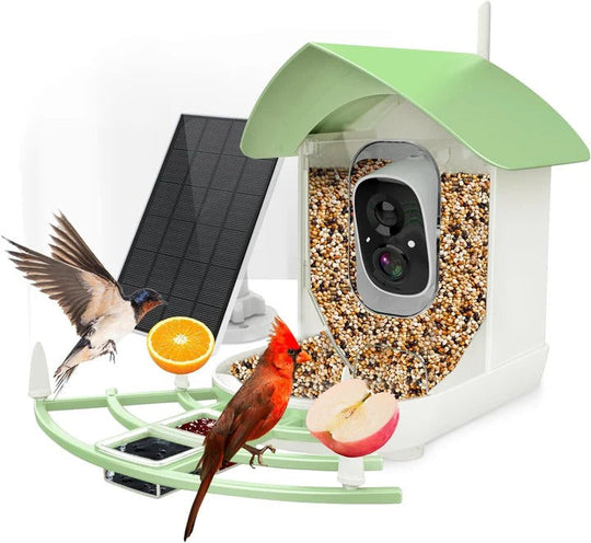 Bird Feeder with Camera and Night Vision