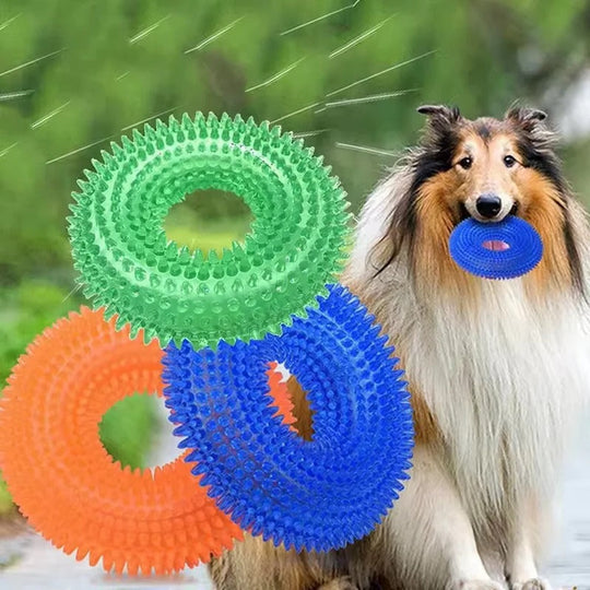 Dog Chew Toy with Squeaker and Durable Rubber