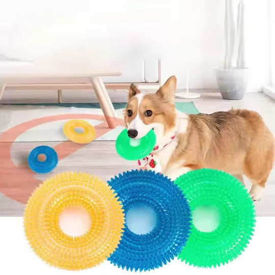 Dog Chew Toy with Squeaker and Durable Rubber