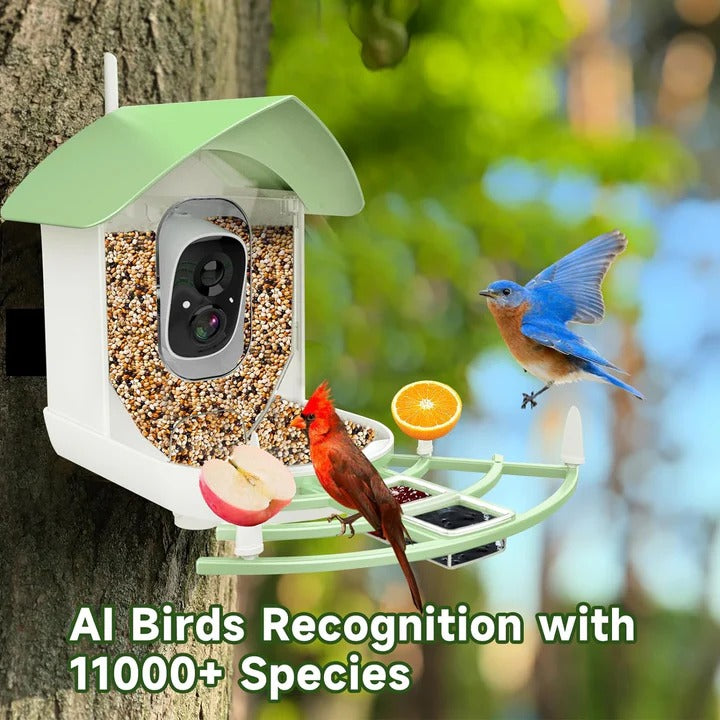 Bird Feeder with Camera and Night Vision