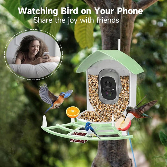 Bird Feeder with Camera and Night Vision