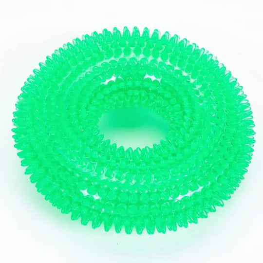 Dog Chew Toy with Squeaker and Durable Rubber