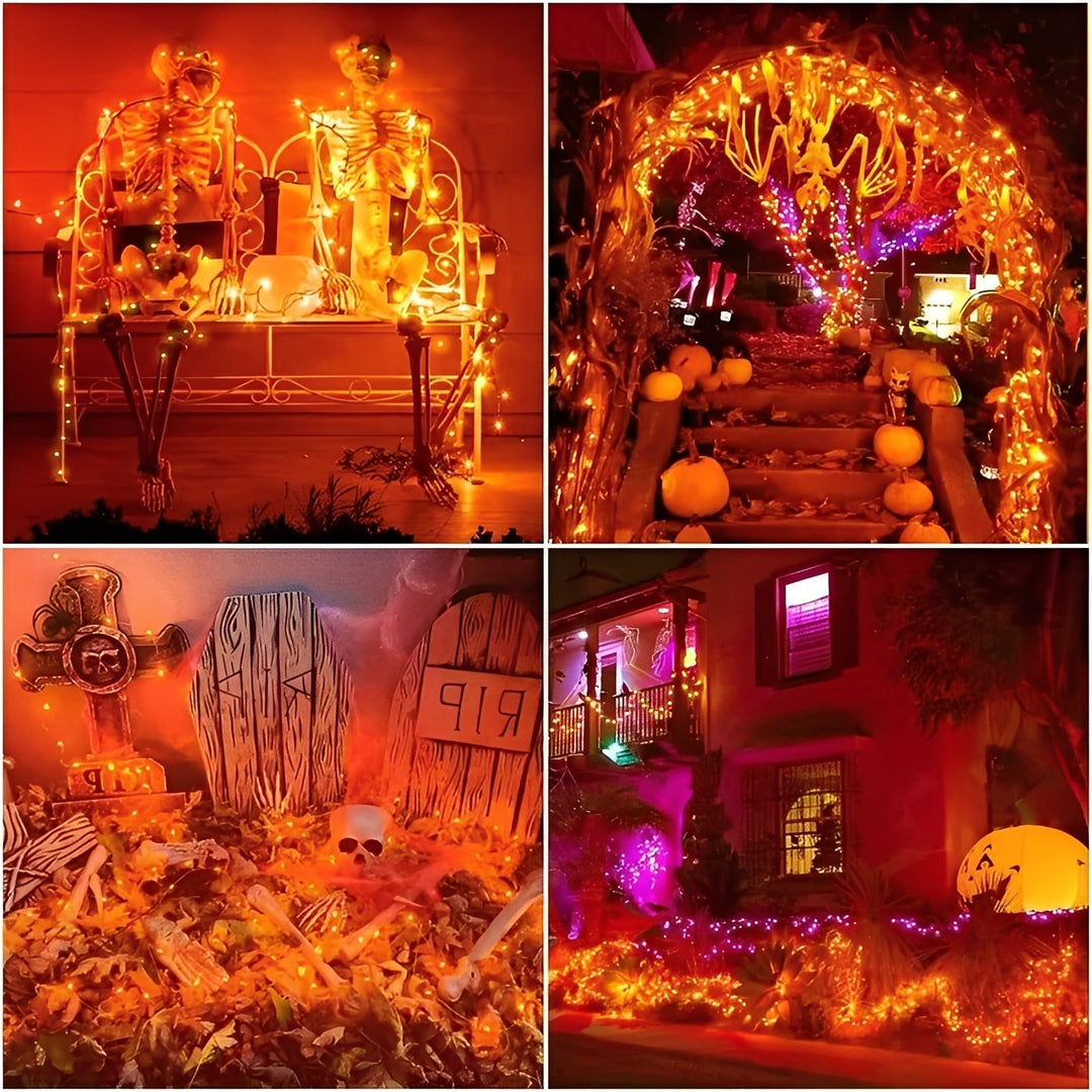 Garden Lights with Solar Power and LED Bulbs