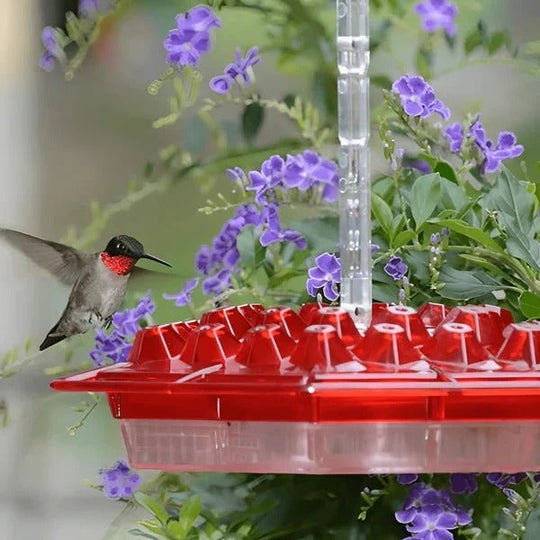 Hummingbird Feeder with Ant-Proof Moat and Hanging Design