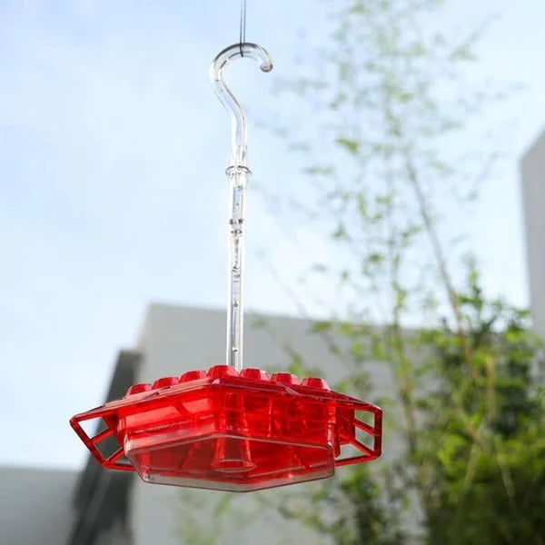Hummingbird Feeder with Ant-Proof Moat and Hanging Design