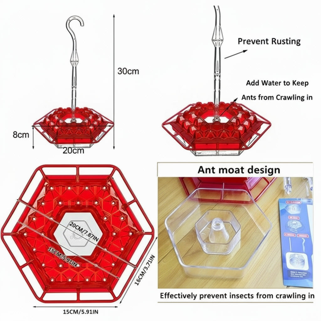 Hummingbird Feeder with Ant-Proof Moat and Hanging Design