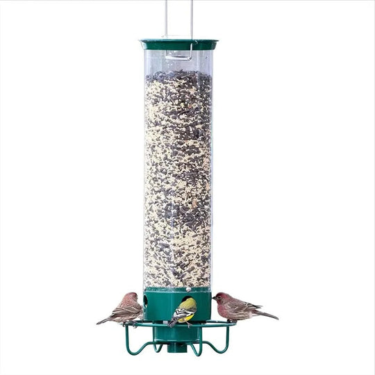 Bird Feeder with Window Mount and Weight-Activated Perch