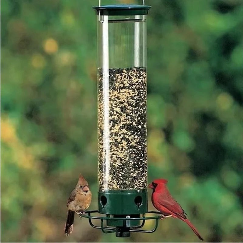 Bird Feeder with Window Mount and Weight-Activated Perch