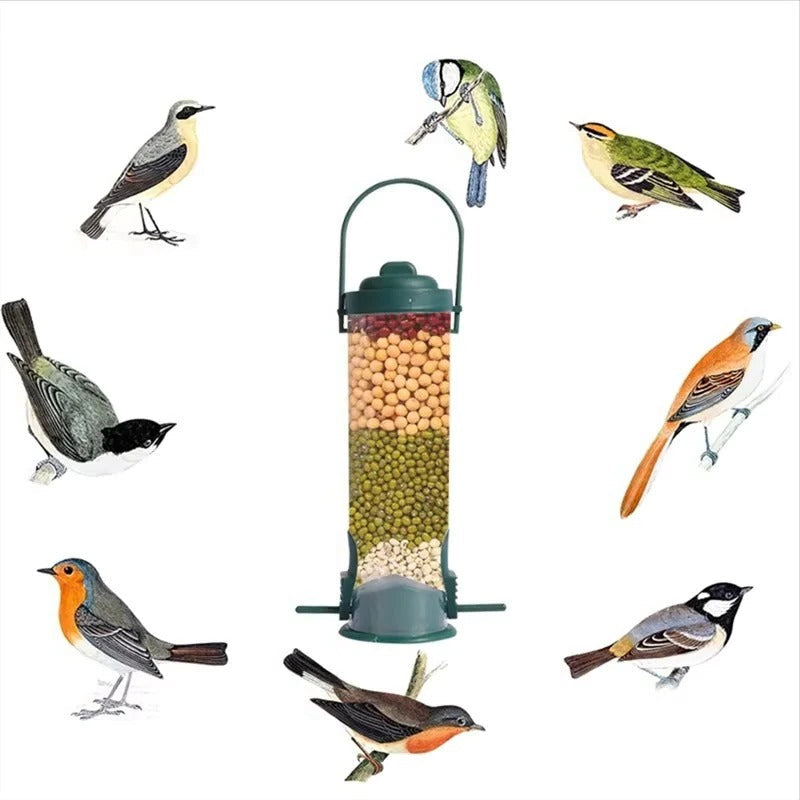 Bird Feeder with Window Mount and Weight-Activated Perch