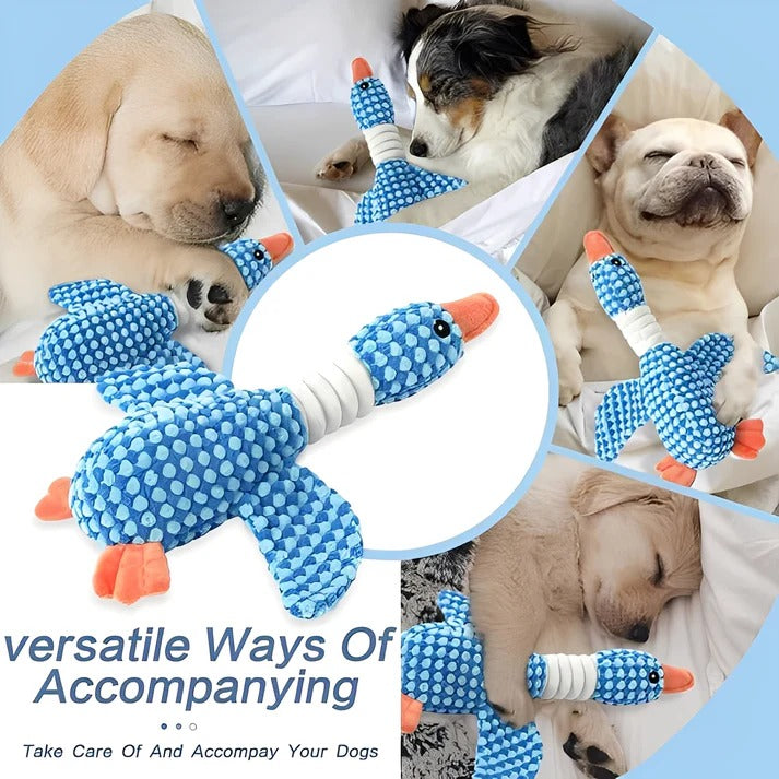 Dog Chew Toy with Soft Plush Fabric and Squeaker