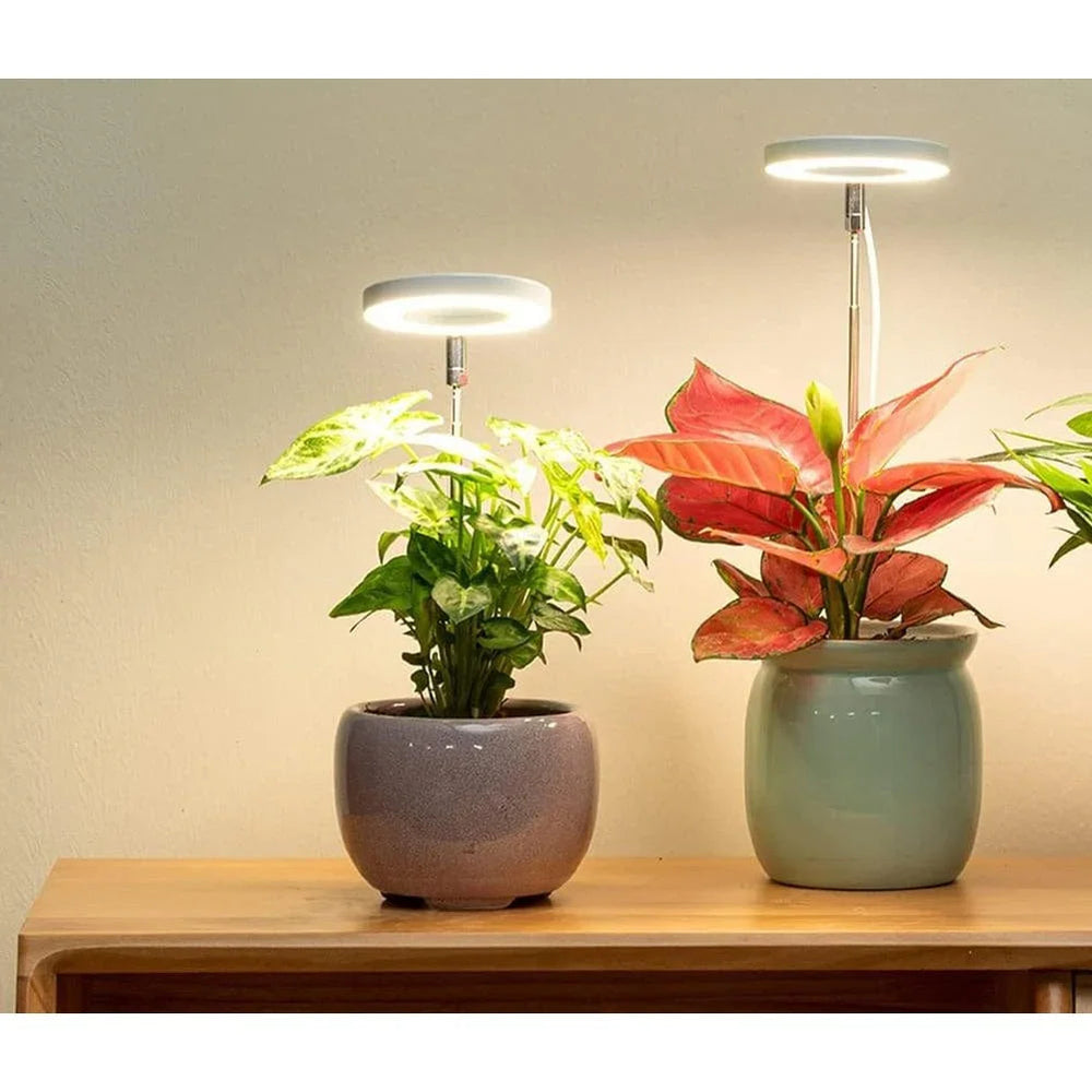 LED Grow Light with Adjustable Brightness and Height