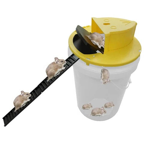 Mouse Trap with Reusable Design and Humane Capture
