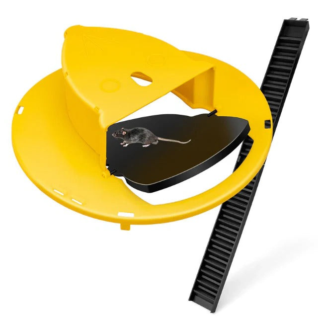 Mouse Trap with Reusable Design and Humane Capture