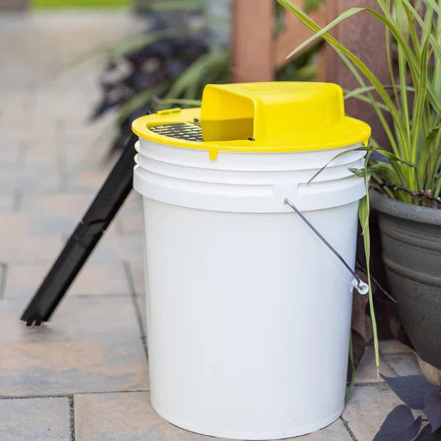 Mouse Trap with Reusable Design and Humane Capture