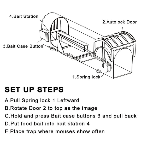 Mouse Trap with Reusable Design and Self-Locking Door