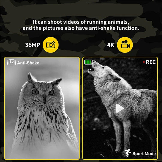 Night Vision Binoculars with Digital Zoom and Recording