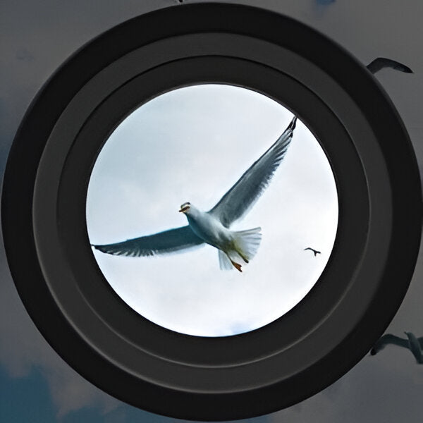 Night Vision Binoculars with High Power and Digital Viewing