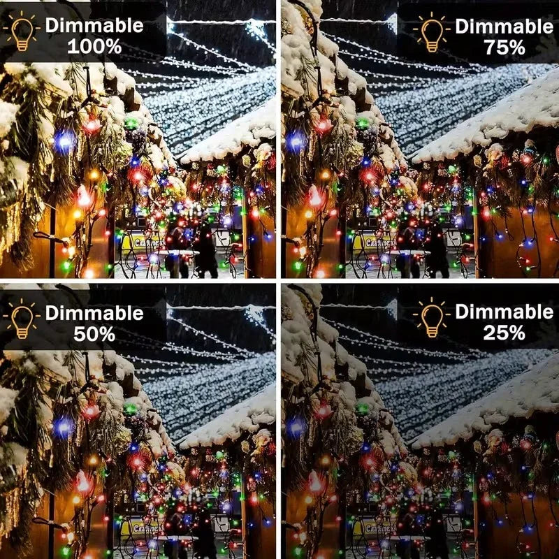 Outdoor Fairy Lights with Remote Control and Plug Power