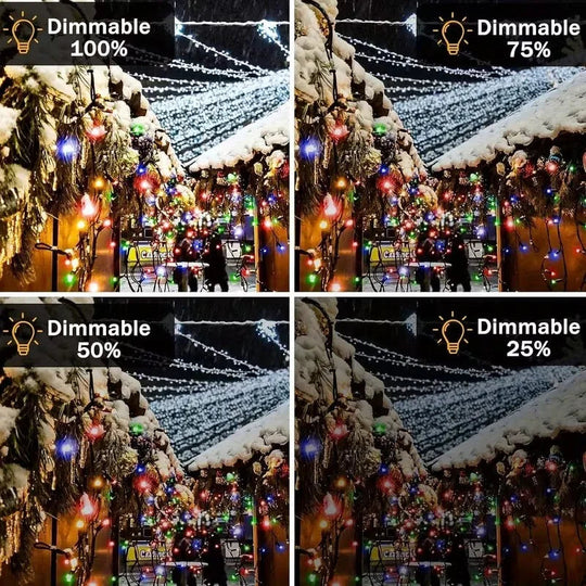 Outdoor Fairy Lights with Remote Control and Plug Power