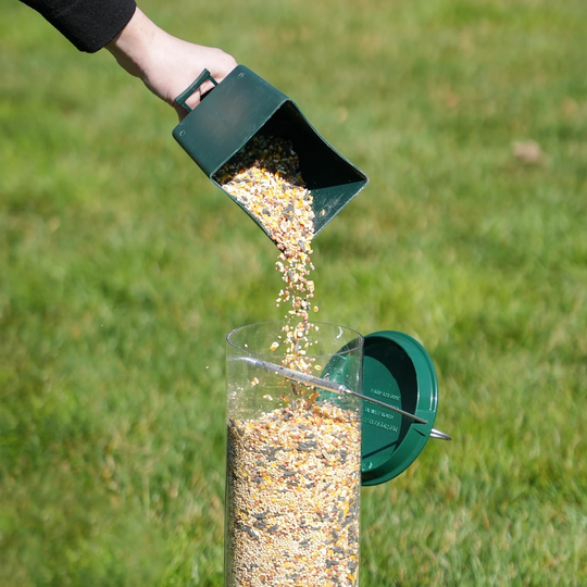 Bird Feeder with Squirrel Resistance and Hanging Mount